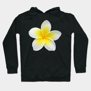 Hawaiian Plumeria Hoodie